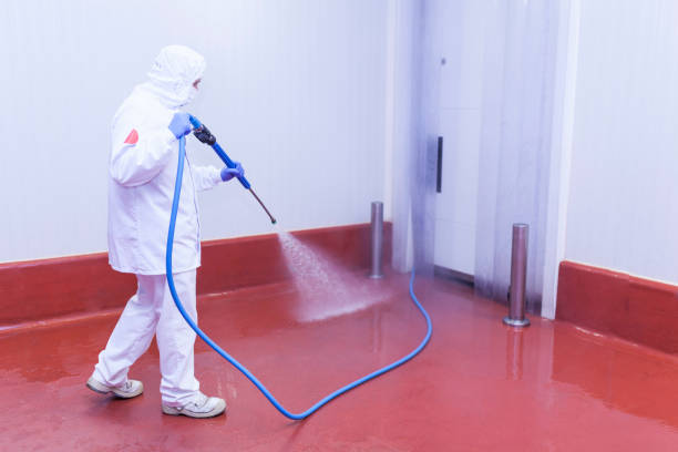 Trusted Baxter, MN Pressure Washing Services Experts